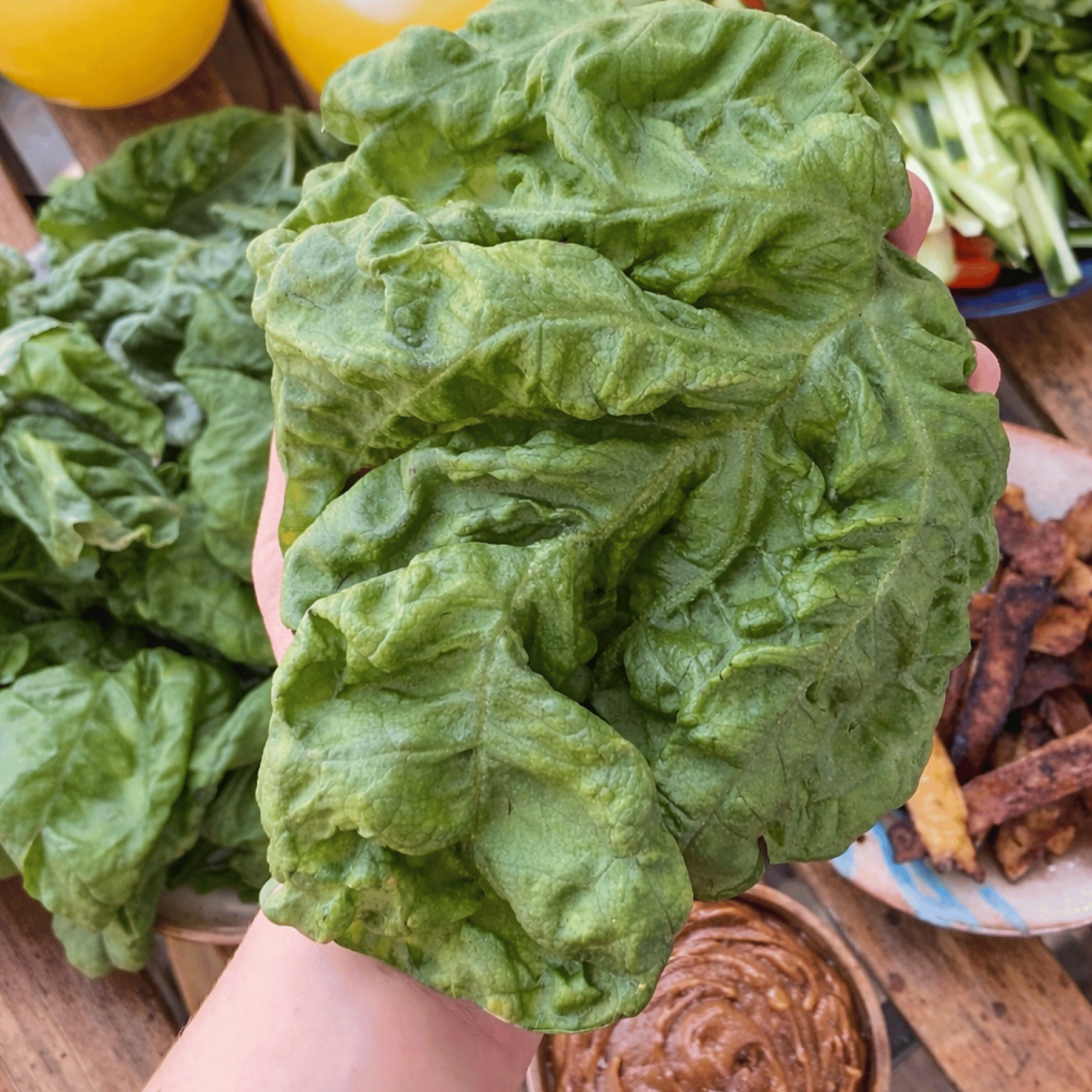 Hand holding a piece of green leafy vegetable with a blurred background of food items.