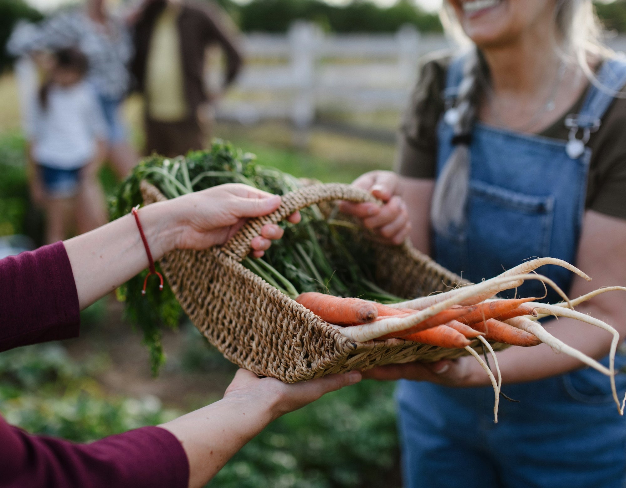 Person receiving a basket of carrots from another person in an outdoor setting.