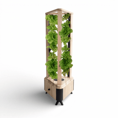 The Eboo Aeroponic