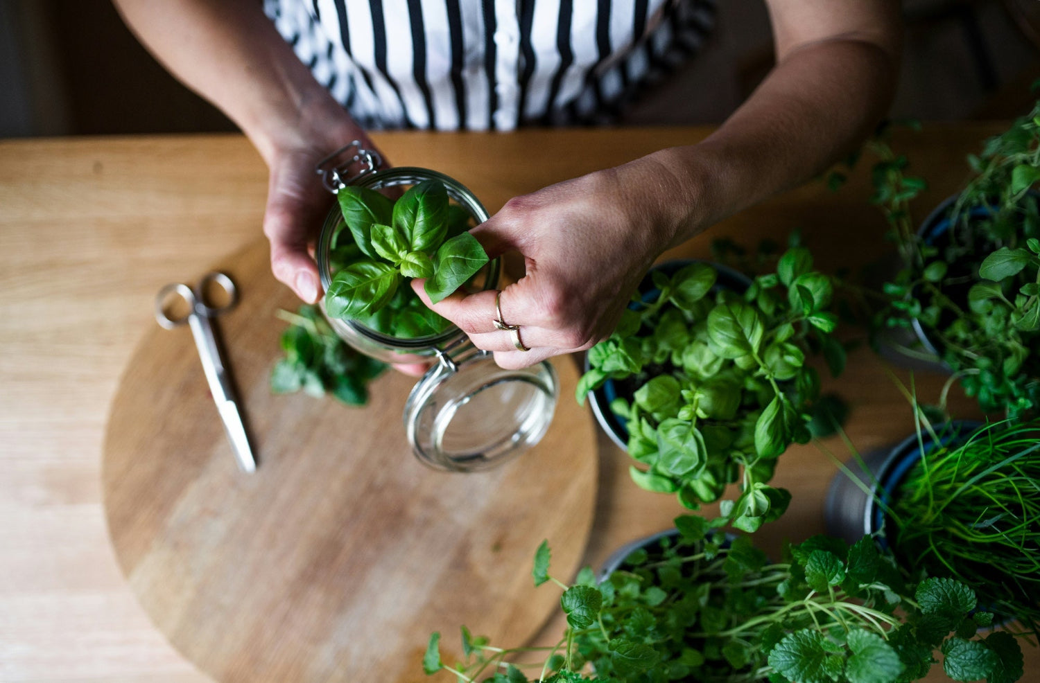 Person holding a jar of green herbs on a wooden table with more herbs around.